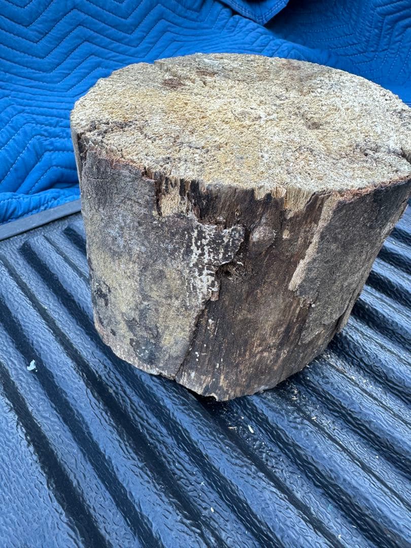 ベトナム材　VN材　13cm×20cm 産卵木