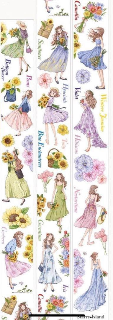 捨七　summer holiday PET