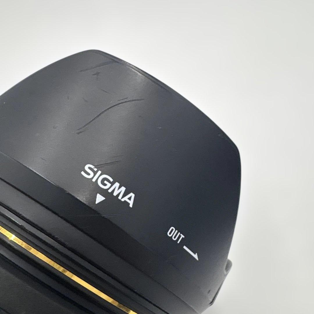 SIGMA 17-50mm F2.8 EX DC OS HSM 望遠レンズ