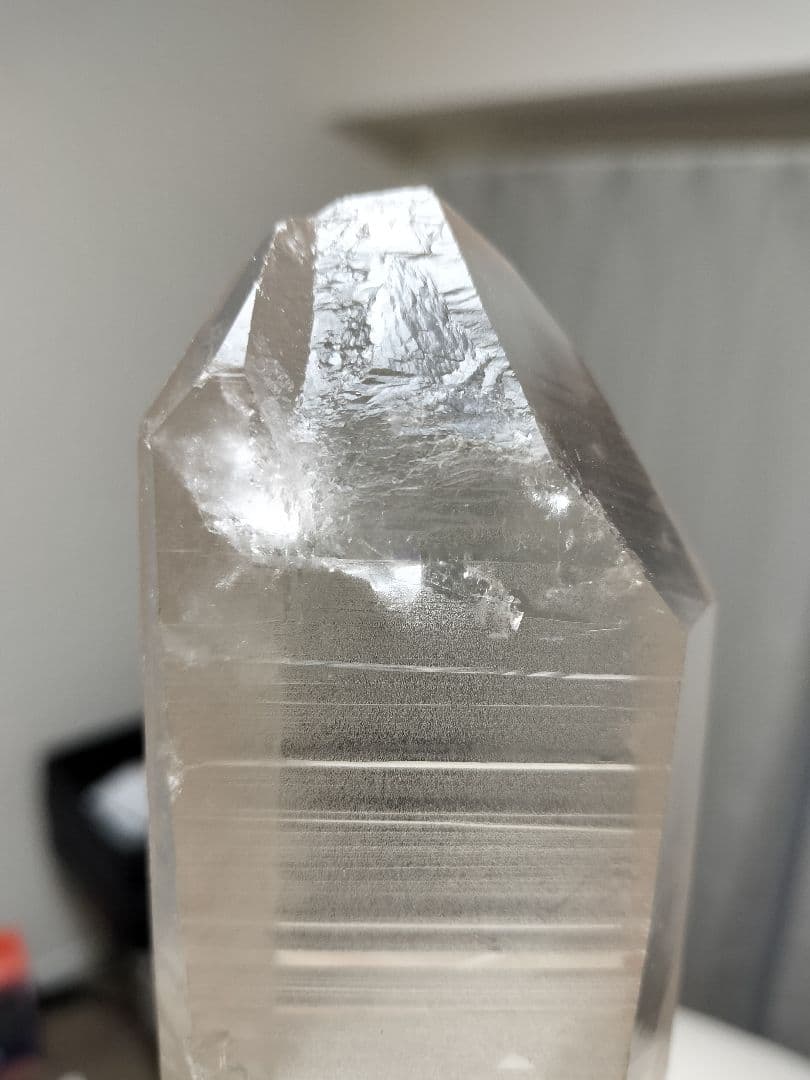 【早いもの勝ち超特価】レムリアンシード