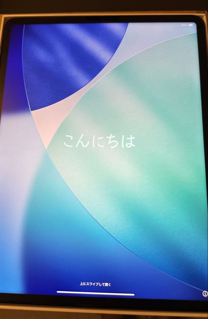 iPad Pro 12.9 第5世代 128GB スペースグレイ 98%