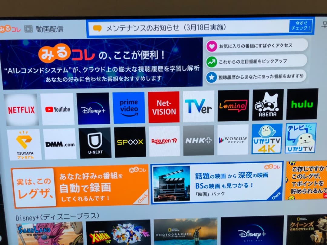 東芝　有機EL 65インチ　4Kテレビ
