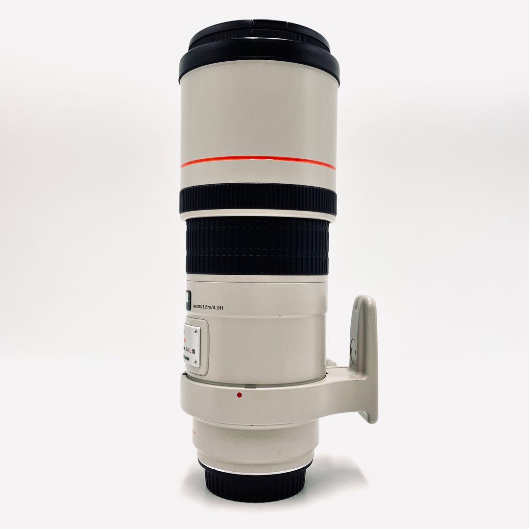 レンズ(単焦点) Canon EF 300mm F4 L USM