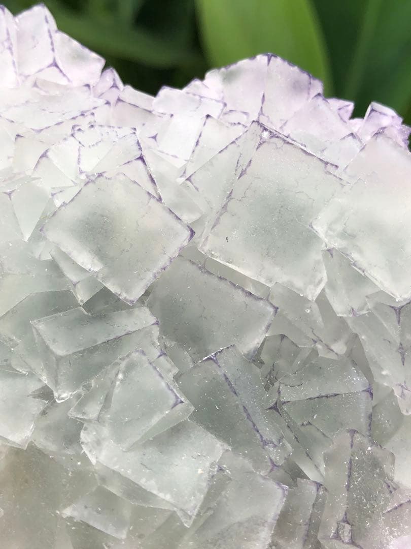 ❤️超レア　214g 綺麗　紫縁　グリーンフローライト　蛍石　クラスター