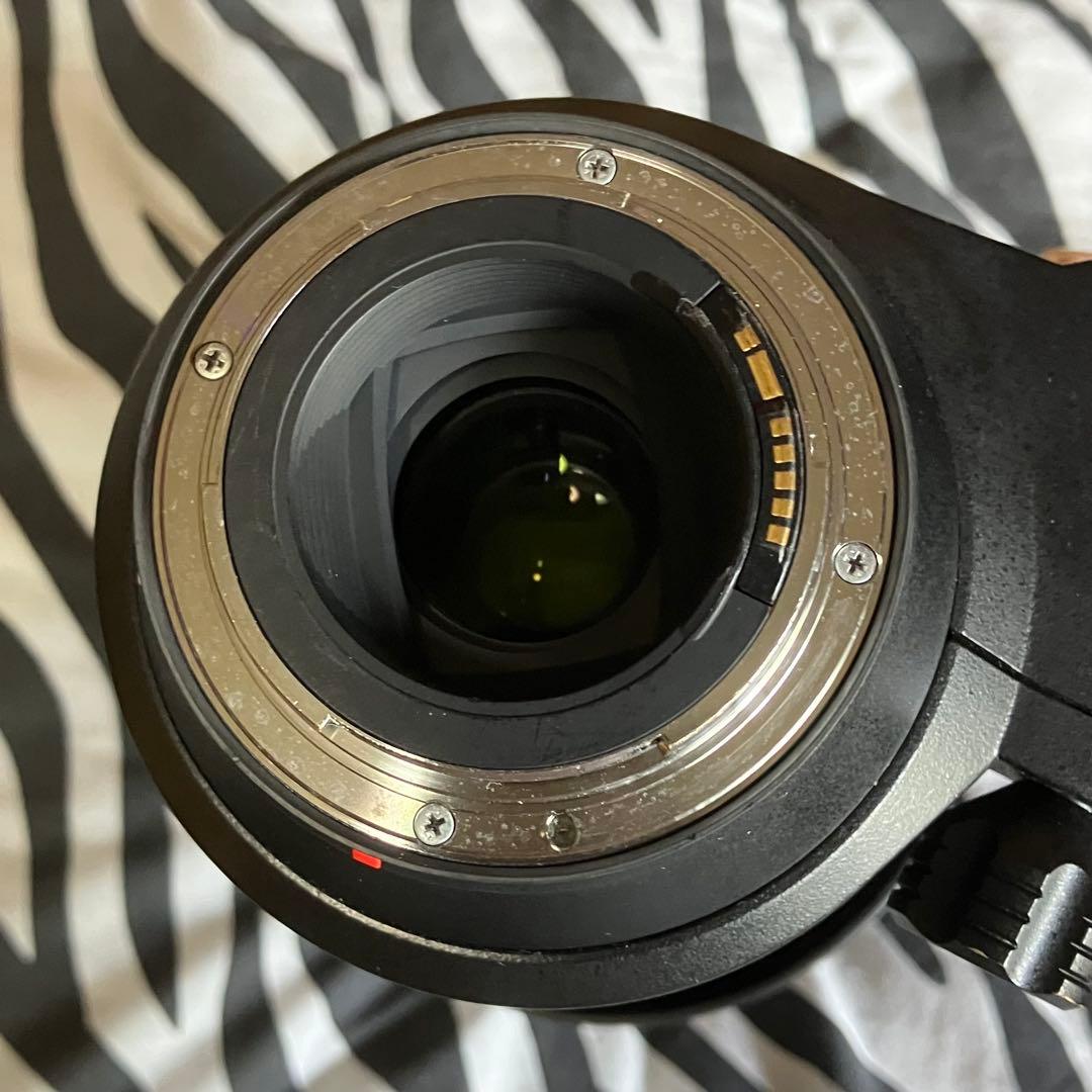 レンズ(ズーム) TAMRON SP 150-600mm F/5-6.3 Di VC USD