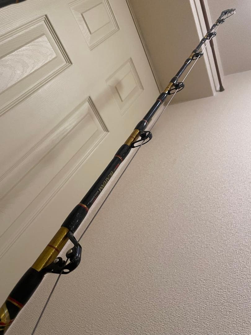 Daiwa SLT50W 両軸リール 2台ロッドTICA50ポンド最終価格