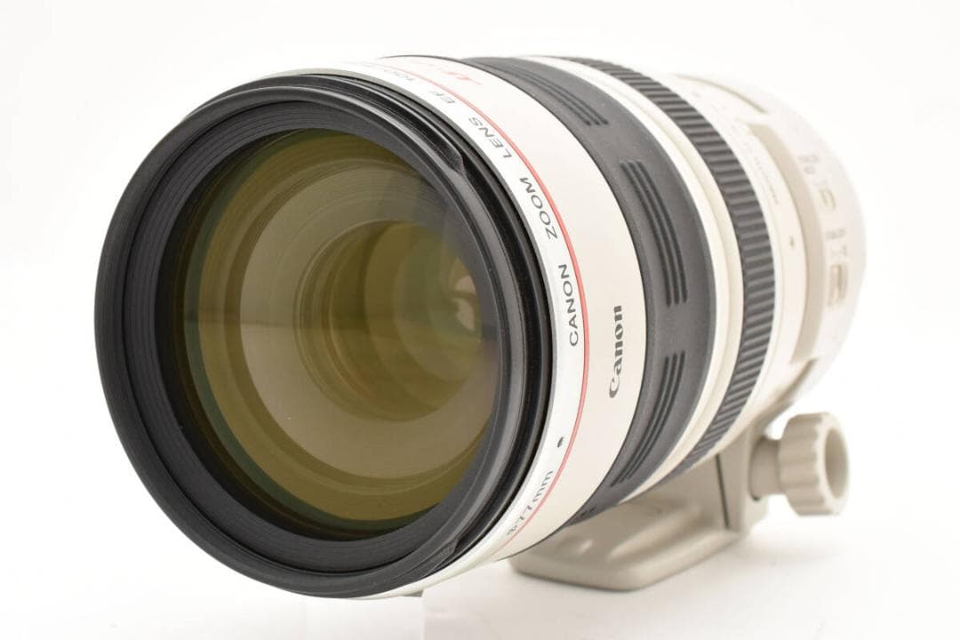 キヤノン Canon EF 100-400mm F4.5-5.6 L IS