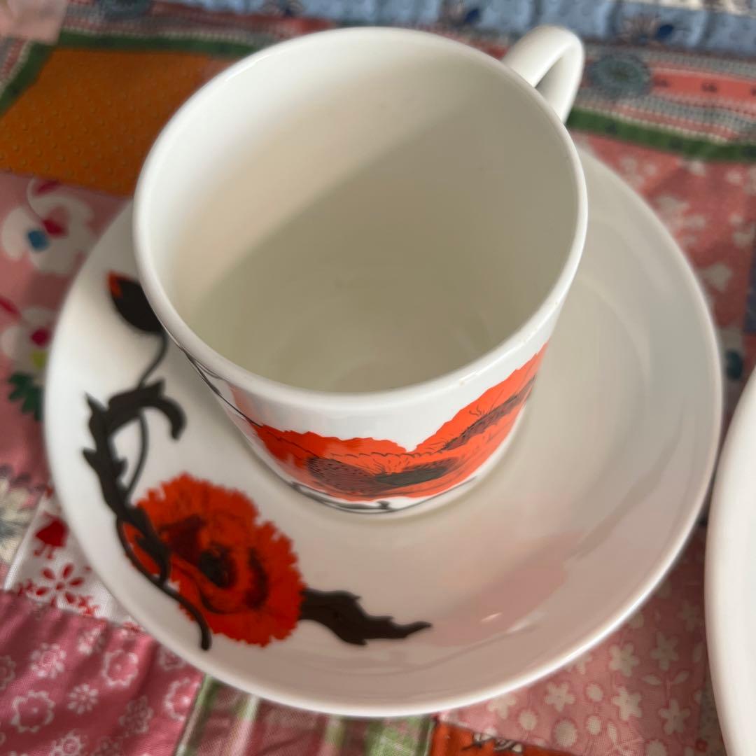 スージークーパーウェッジウッド✳︎カーネーション