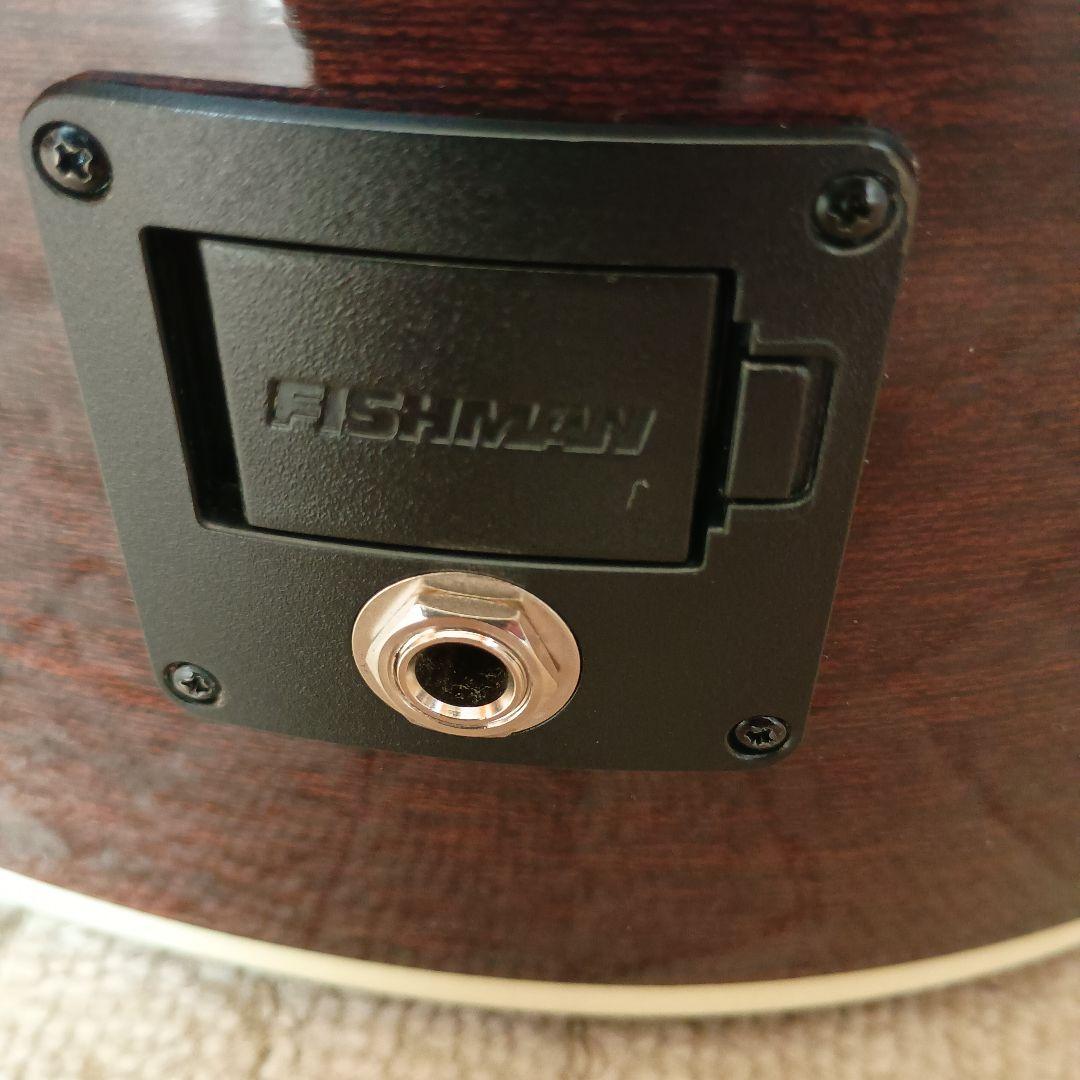 極美品エレアコ　James J-450D/SPL VNT アコースティックギター