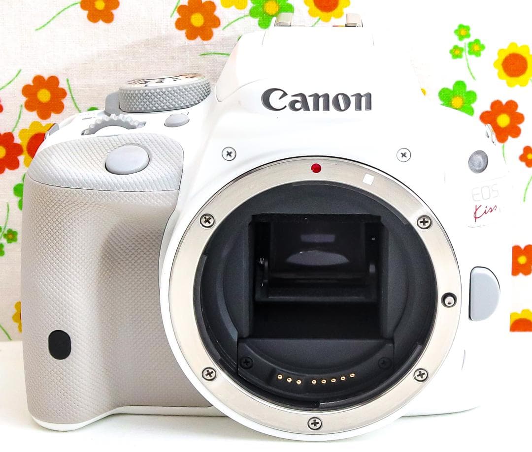 極美品☆Canon EOS kiss X7☆スマホに転送！☆ダブルレンズ！