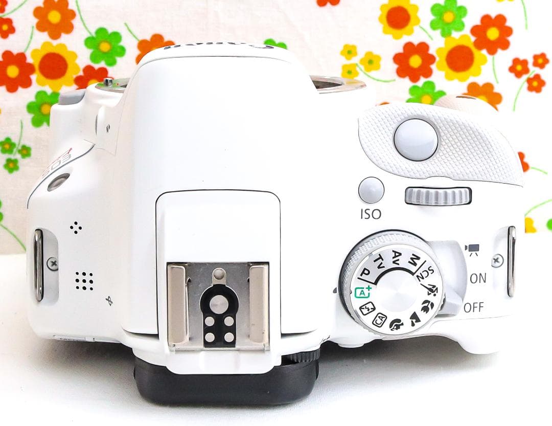 極美品☆Canon EOS kiss X7☆スマホに転送！☆ダブルレンズ！