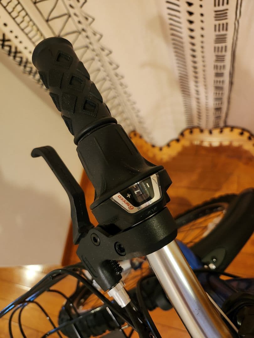 プラオ（引渡し限定）あさひ　ドライド　キッズ用自転車　ヘルメット付き