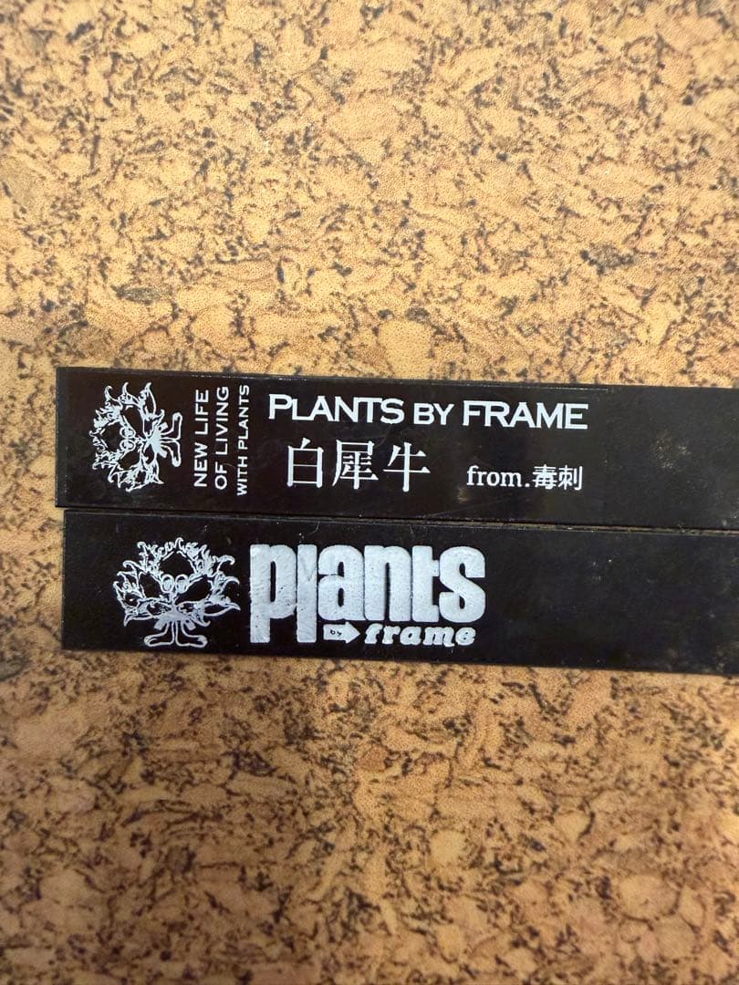 101326 毒刺ND 白犀牛