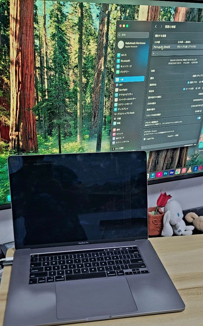 MacBook本体 MacBook Pro 16 2019 Core i9 / 32GB / 1TB