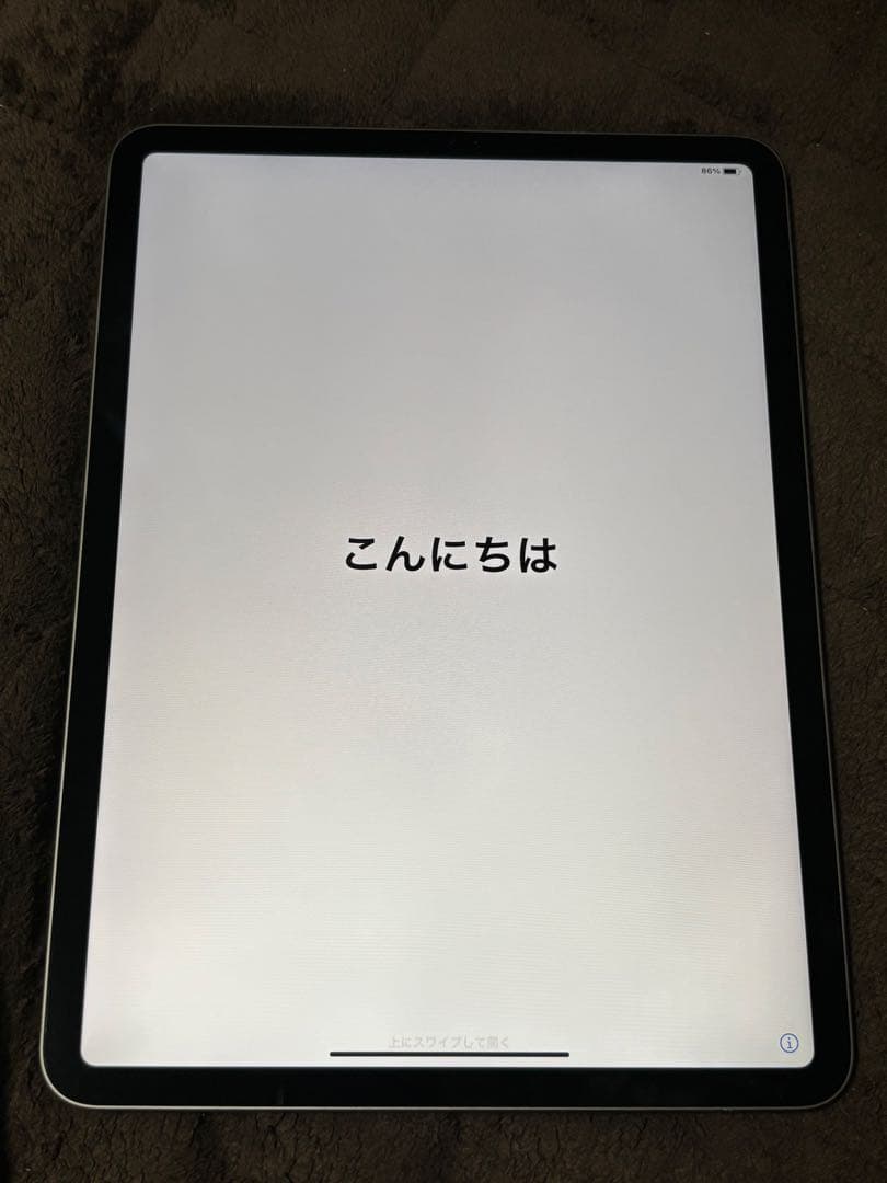 iPad Pro 本体 11インチ 第2世代 128GB WiーFi モデル