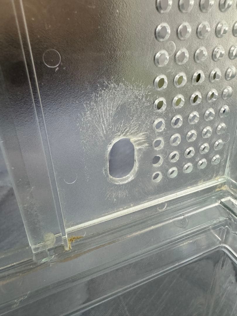 グラスハーモニー 600 シートヒーターなど