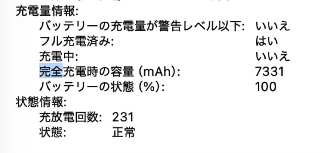 19 MacBook Pro 16インチi9/1TB/16GB/US/5500M