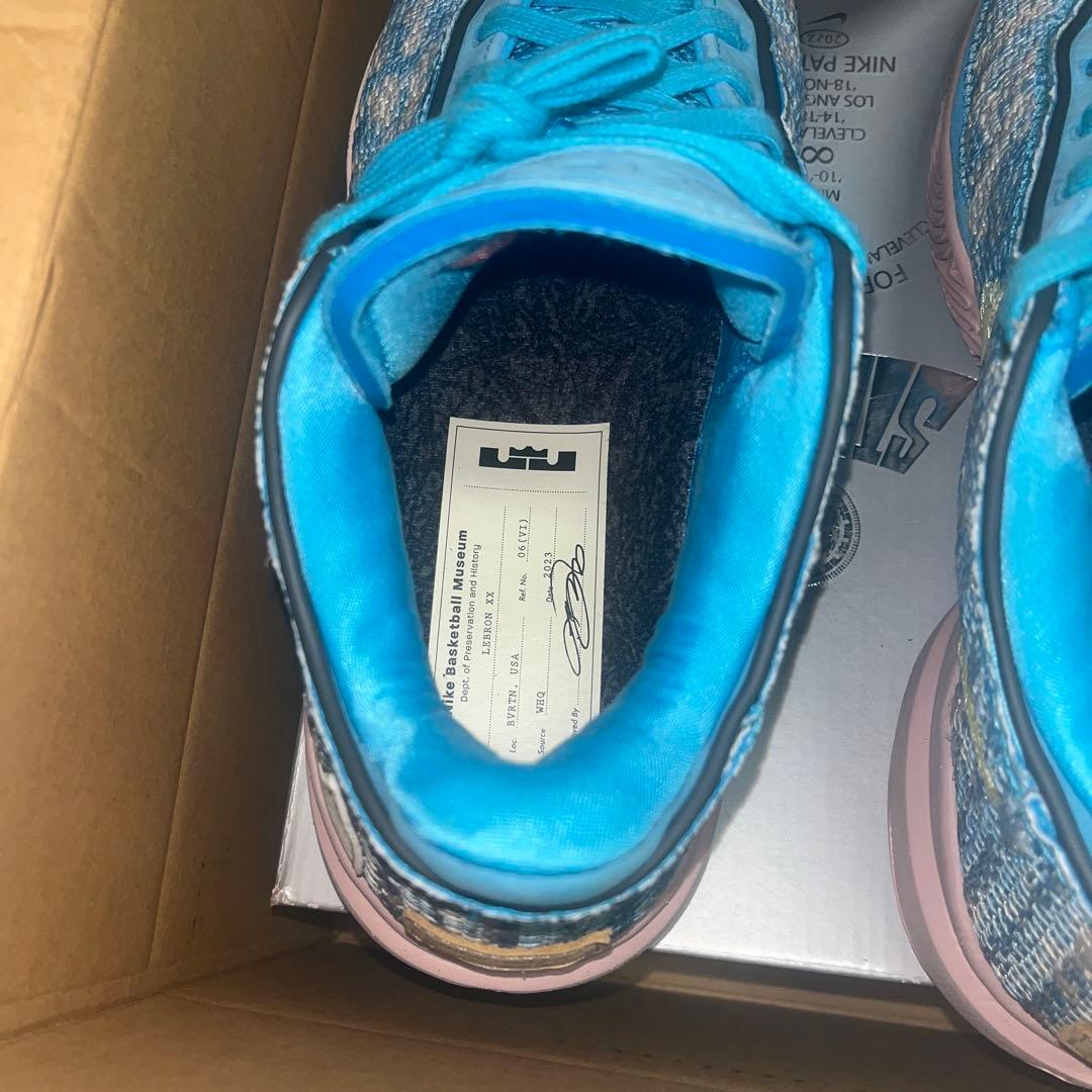 NIKE レブロン20 27cm バスケットボールシューズ