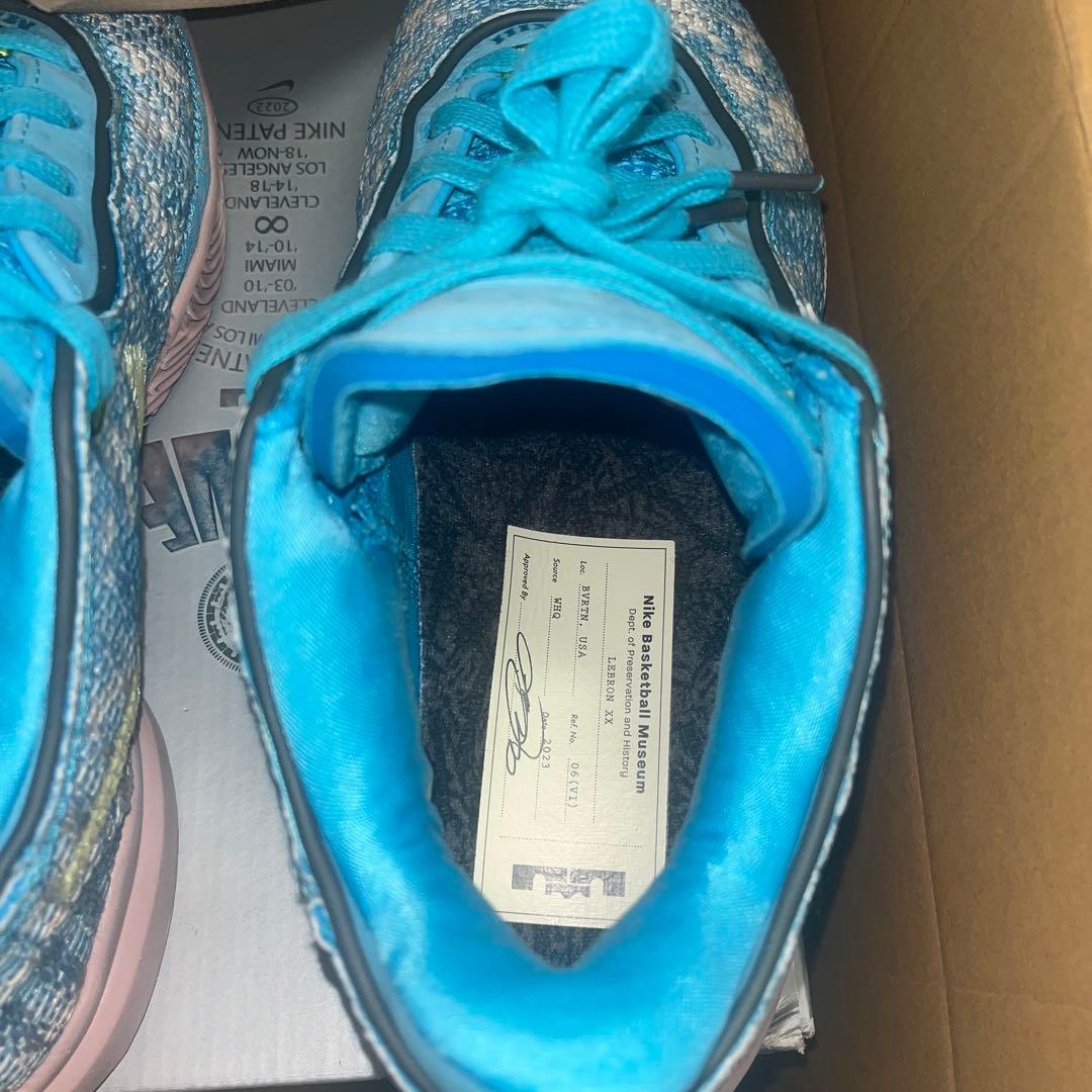 NIKE レブロン20 27cm バスケットボールシューズ