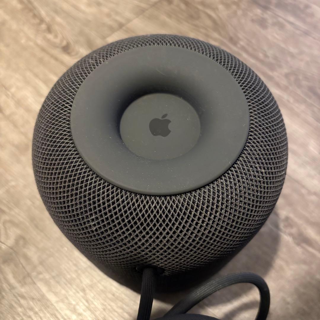 Apple Pod 第一世代 スペースグレイ