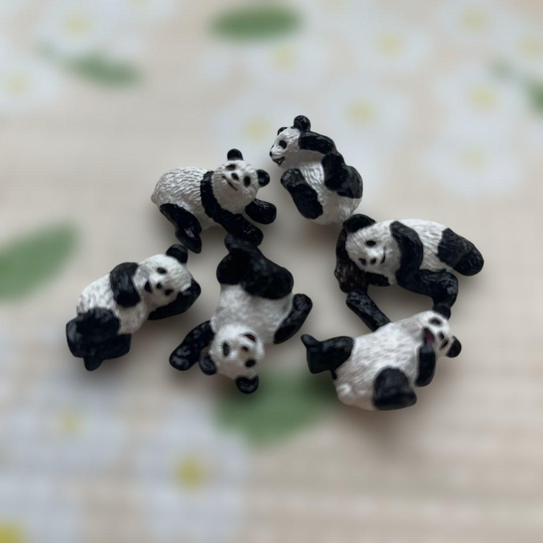 ★アドベンチャーワールド★オルゴール★ ♫シャイン オン ユー♫マスコットパンダ