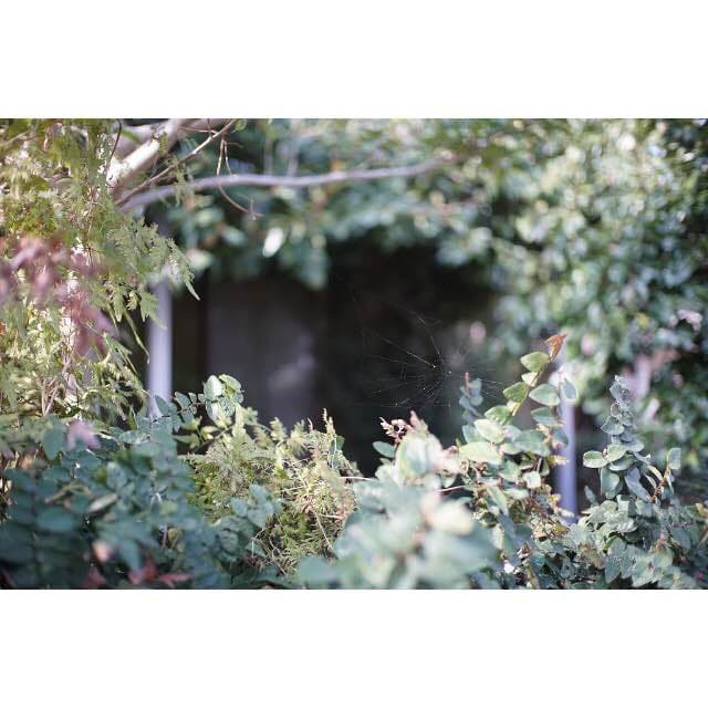 25mm F1.8 MF 単焦点レンズ！SONY Eマウント対応！ブラック！美品