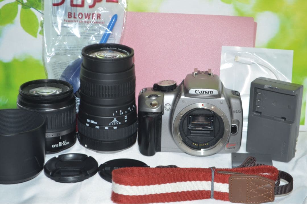 ★初心者にオススメ★Canon kiss N★スマホに転送★望遠レンズ★