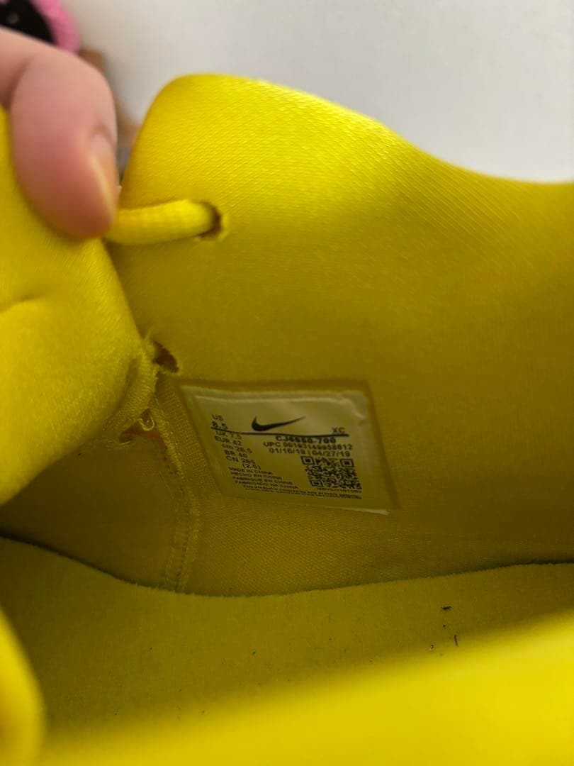 カイリー5 スポンジボブ