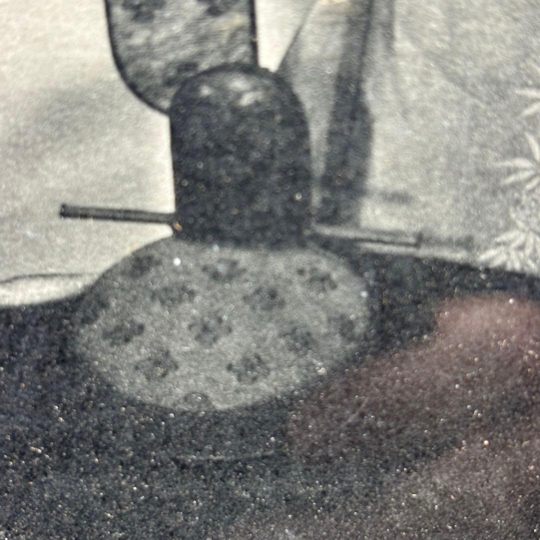 【明治天皇】黄櫨染御袍・立纓御冠・時代御写真・美術骨董・気韻生動古風な額装額縁入