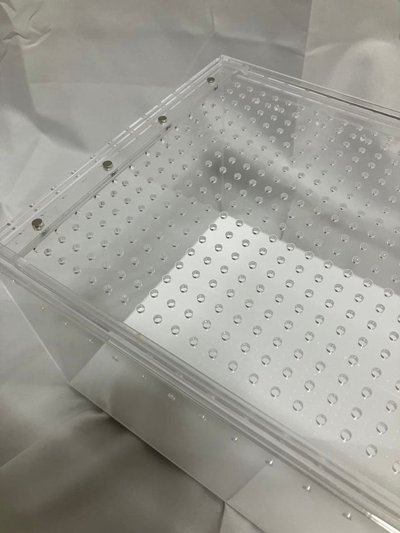 【5box】30×20×15 白底 レプタイルボックス同等　マグネット アクリル