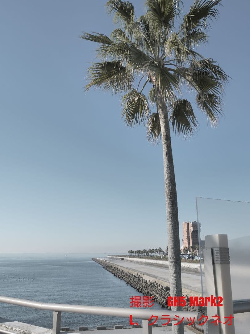 LUMIX GH5 Mark2本体　ショット数8801