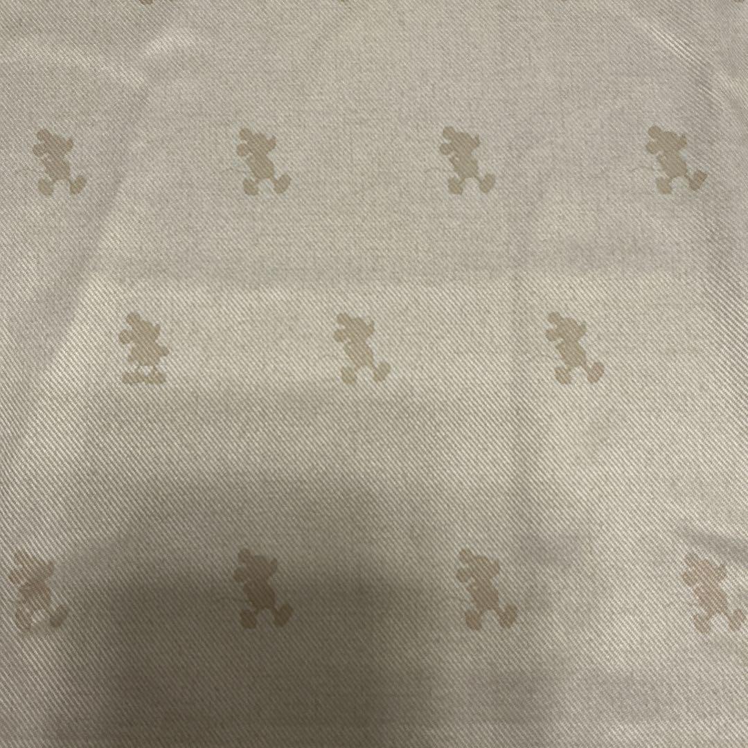 大人 ディズニー　カーテン　100×180㎝　２枚　タッセル付　ベージュ