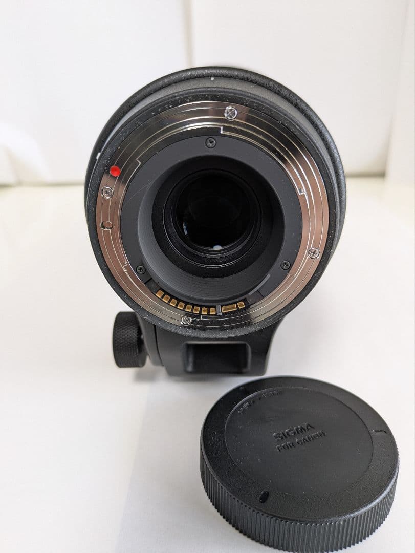 SIGMA 150-600mm F5-6.3 DG OS HSM Canon用