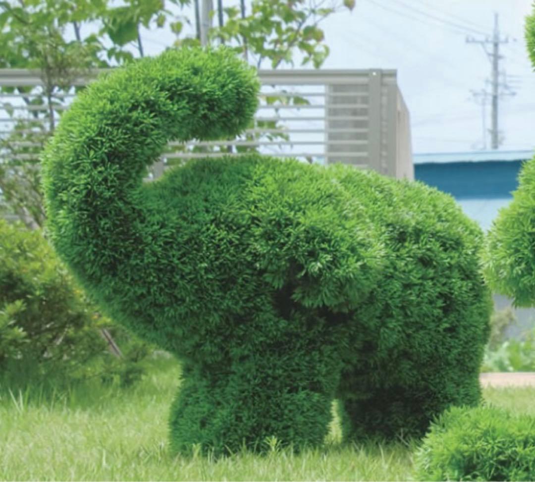 光触媒　人工観葉植物　ウォールグリーン　フェイクグリーン　ゾウs