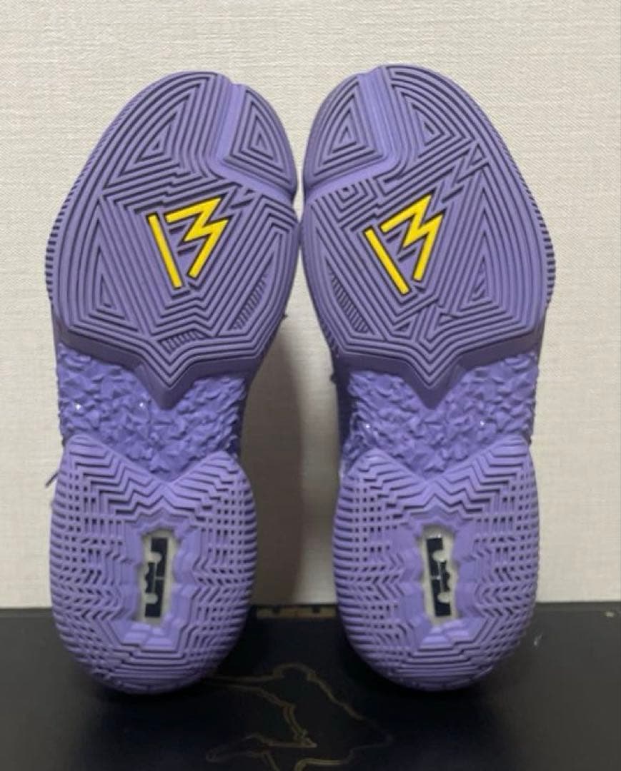 ZOOM AMBASSADOR 13【26.5cm】(US8.5)