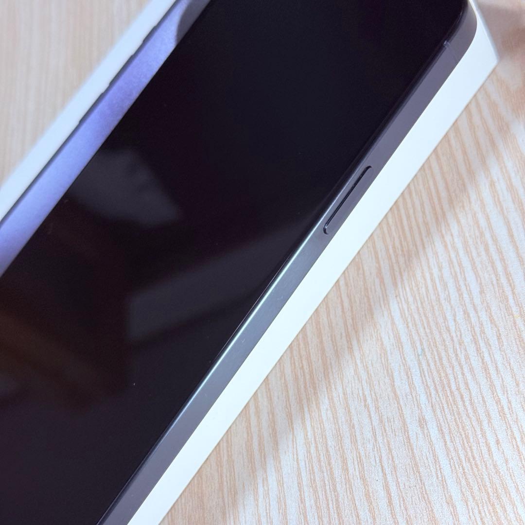 iPhone 15 Pro Max 1TB SIMフリー