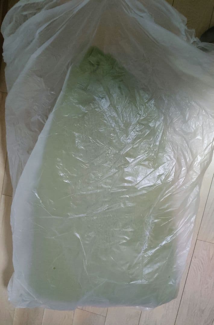 Hogbees ホグビーズ