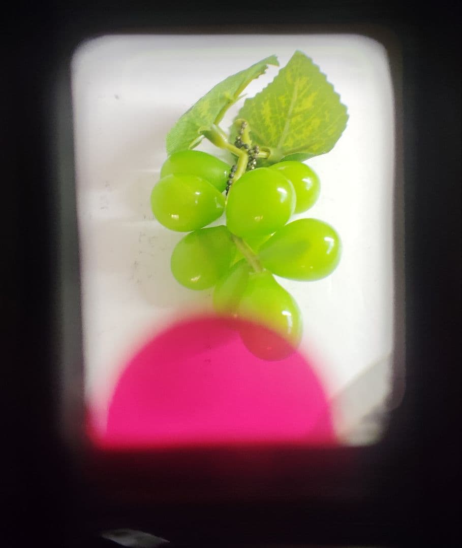 OLYMPUS PEN EED（動作品）