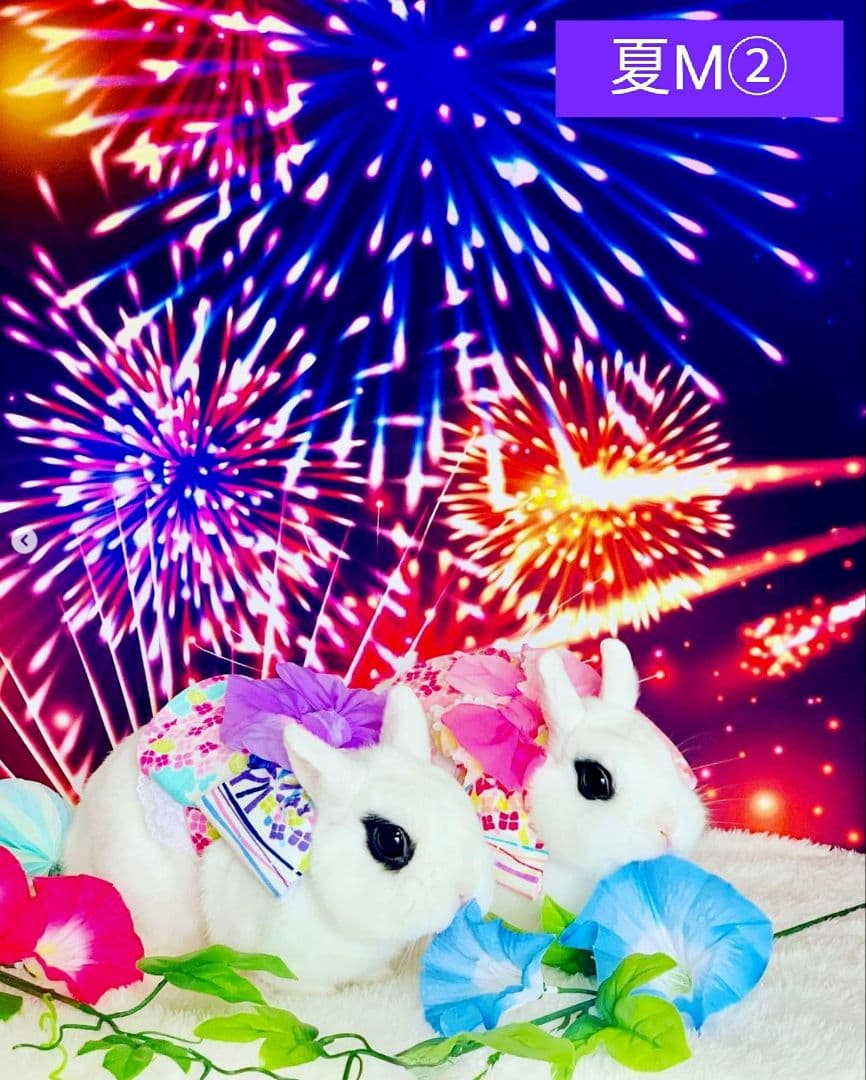 背景布　夏BB➃　ペット撮影用フォトブース　トリミングチョーカー販売中　縦長