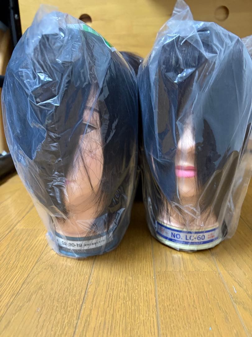 国試用カットウィッグ
