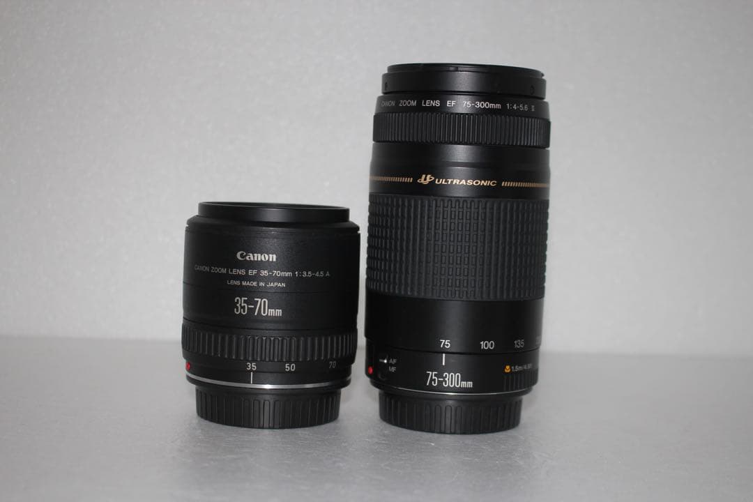 キャノン /Canon EOS 5D MarkIII標準＆望遠ダブルレンズセット