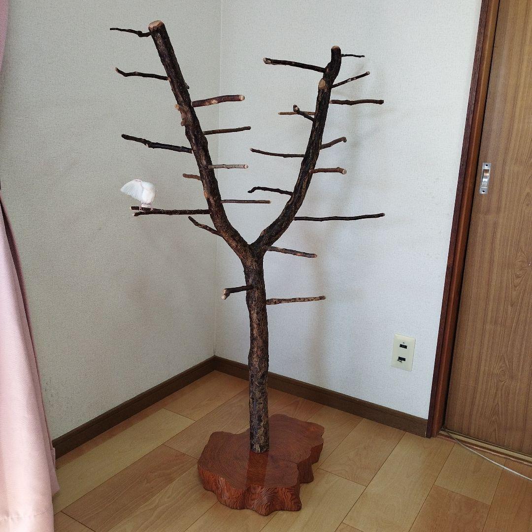 【フィンチ用】梅と桜のフィンチTree バードスタンド