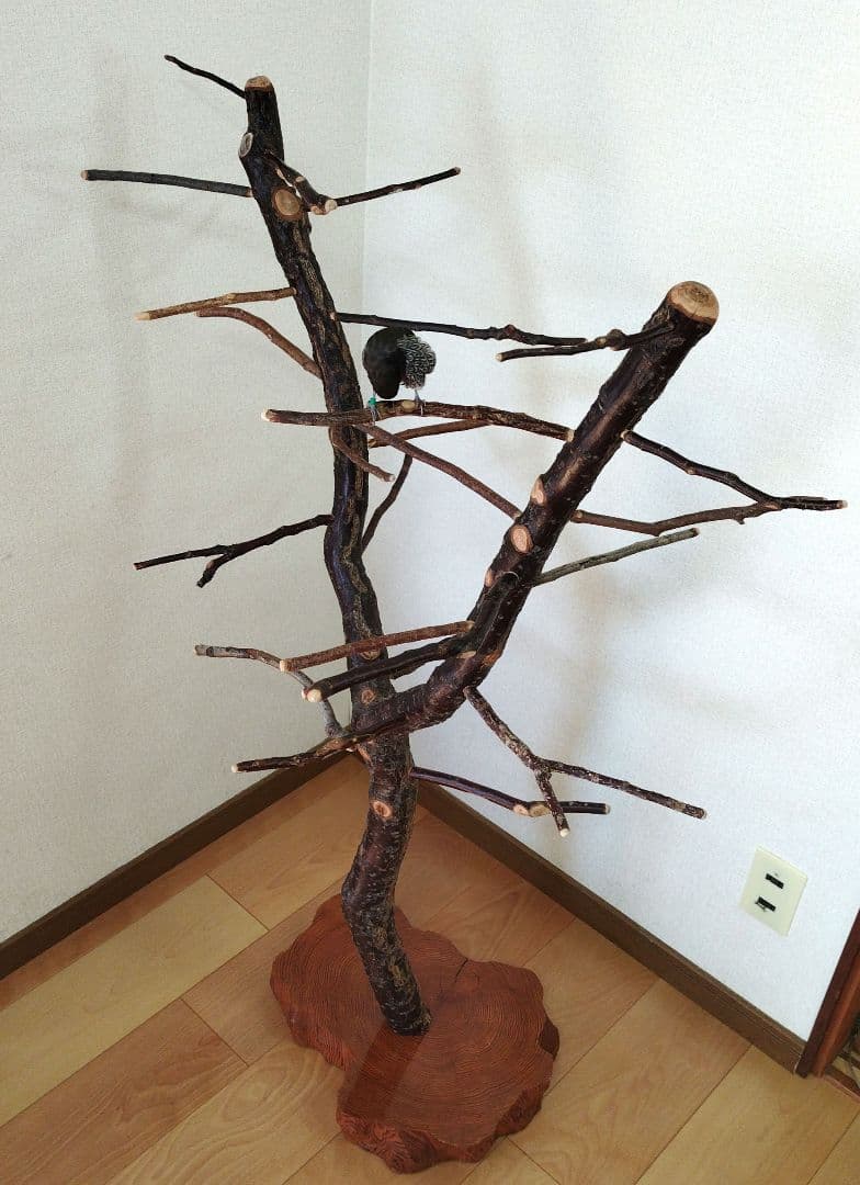 【フィンチ用】梅と桜のフィンチTree バードスタンド