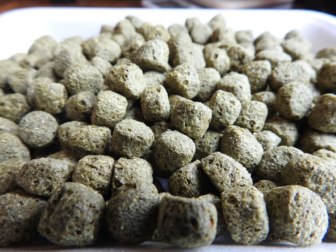 【送料無料】アヒル·コールダック用飼料　MS オリエンタル酵母工業