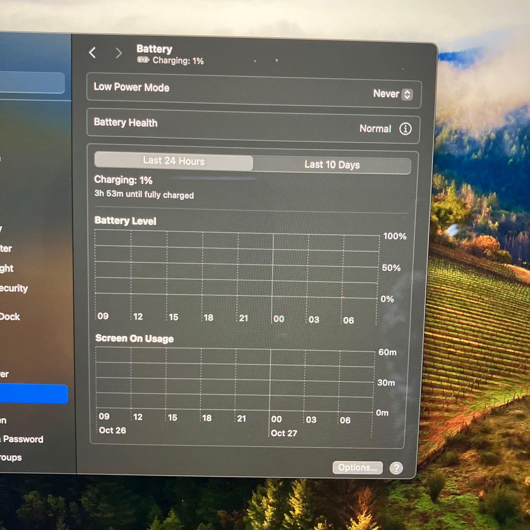 スマホ・タブレット・パソコン APPLE MacBook Pro MACBOOK PRO MVVK2J/A