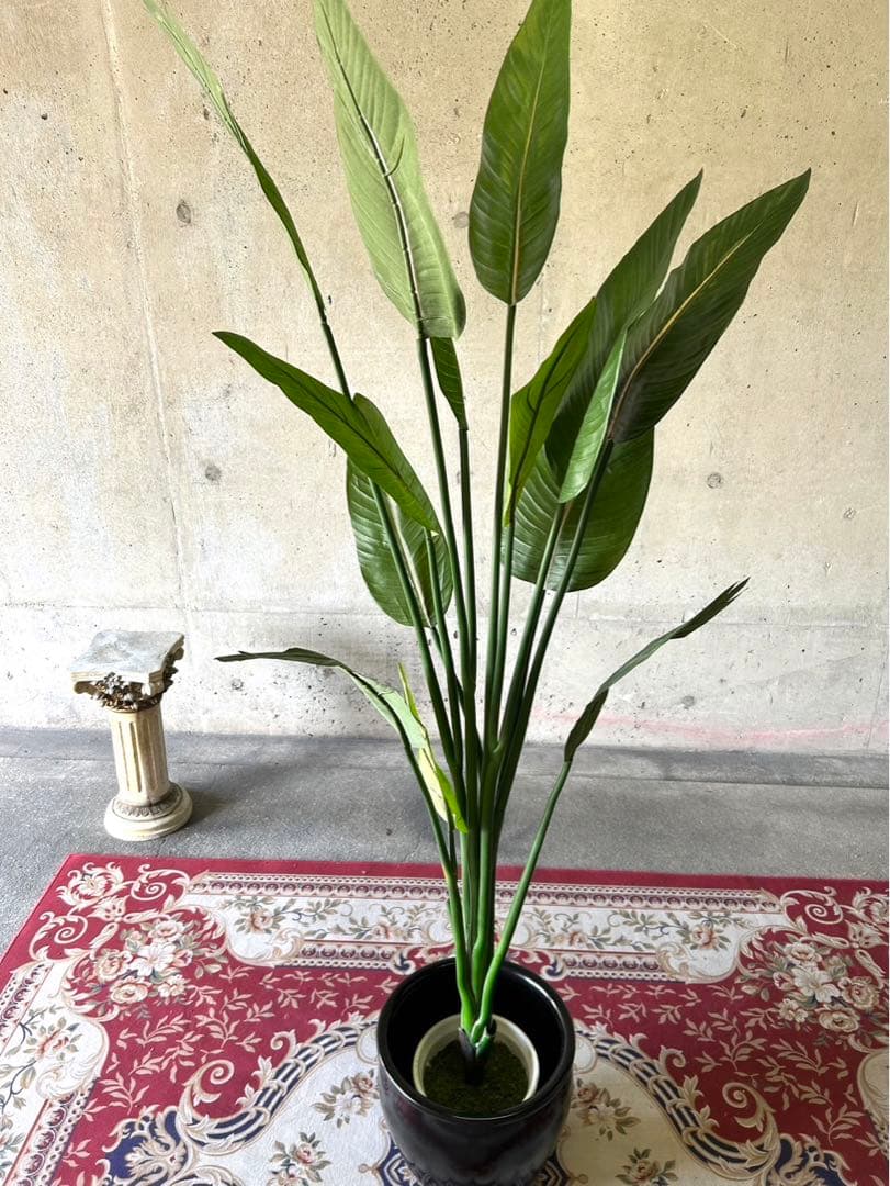 光触媒　人工観葉植物　オーガスタ　フェイクグリーン　ストレッチア155aj