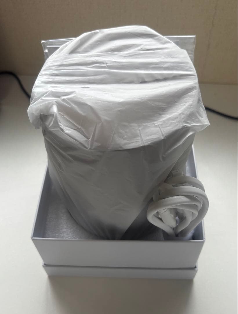 SALONIA サロニア　ピュアブライトスチーマー　カラー　ベージュ