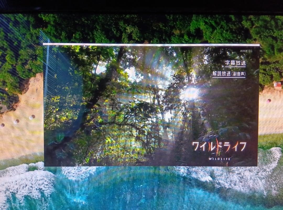 toya【REGZA PC D732 D732/V9GB】