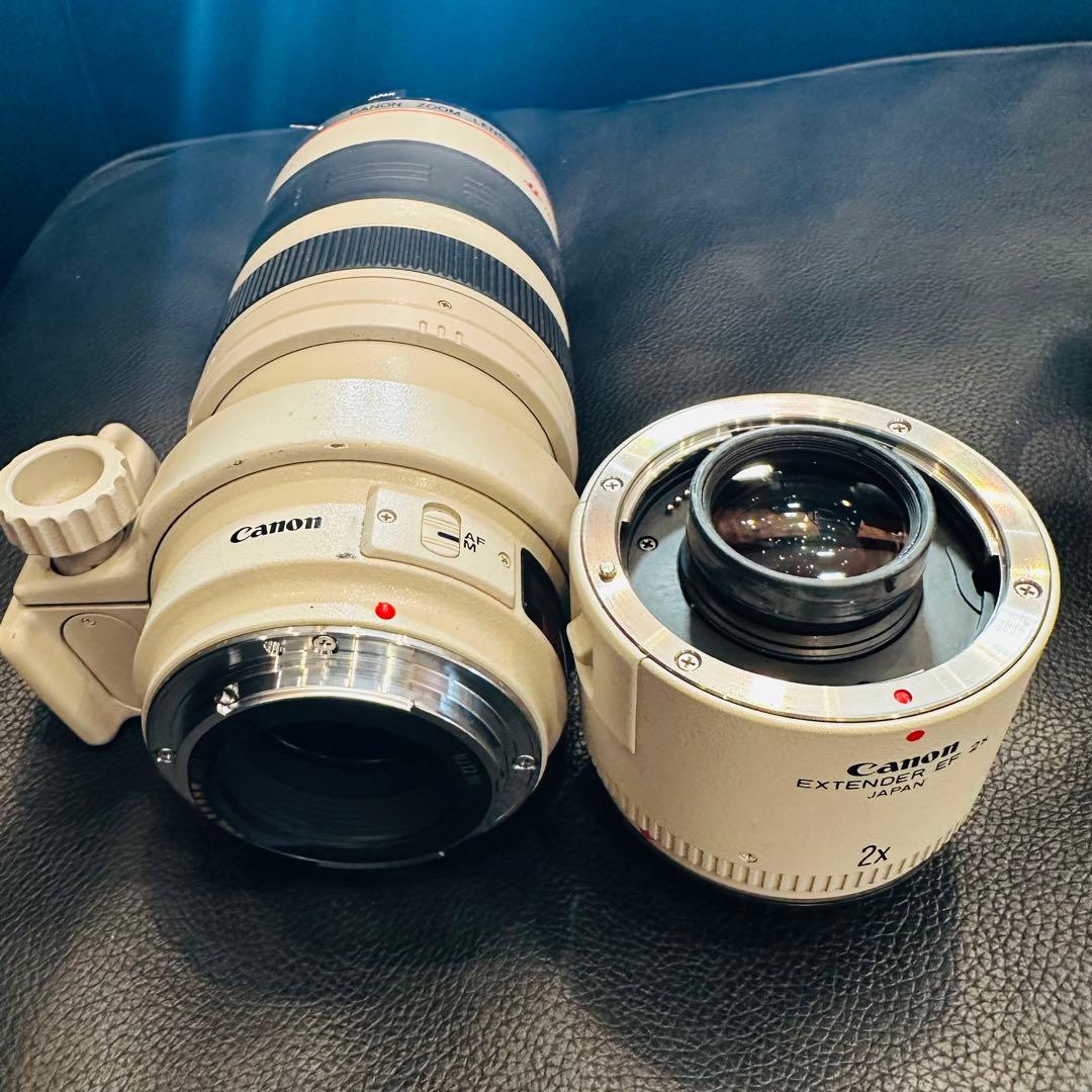 ⭐️美品USED Canon EF 35-350mm ズームレンズ⭐️エクステンダー
