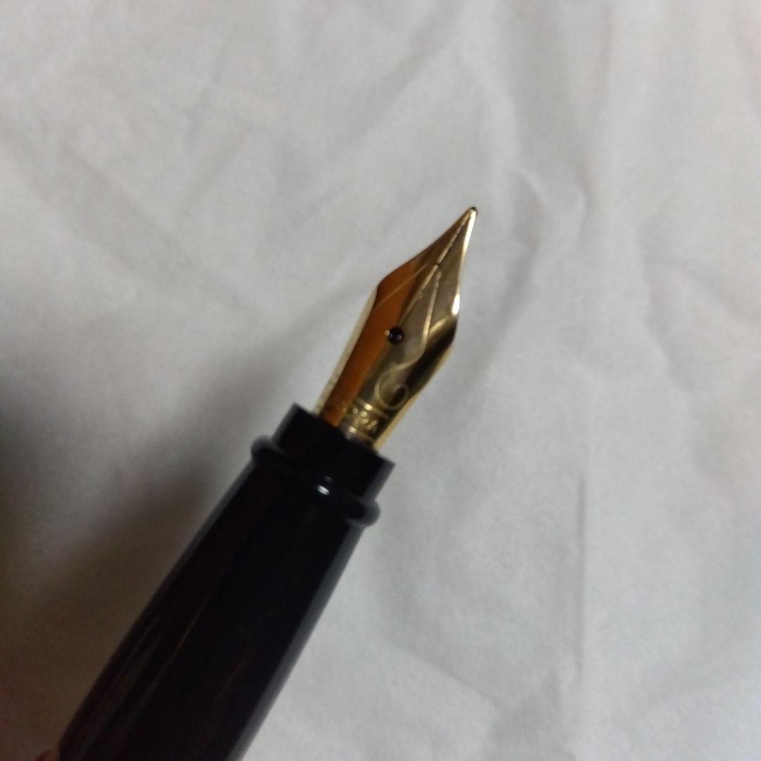 【apollosさま】AURORA 万年筆 　【専用ケース付き】